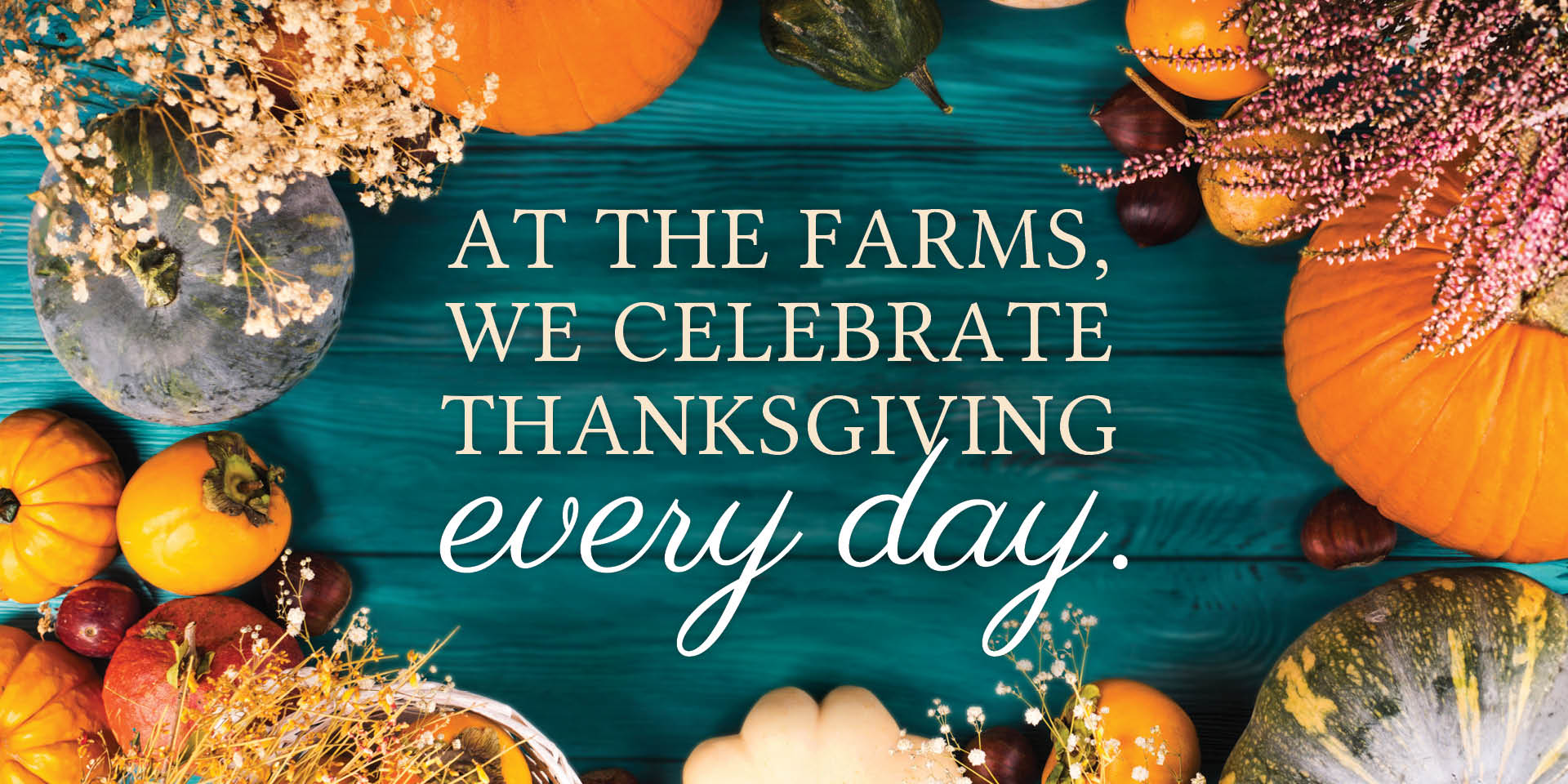 At The Farms we celebrate Thanksgiving every day