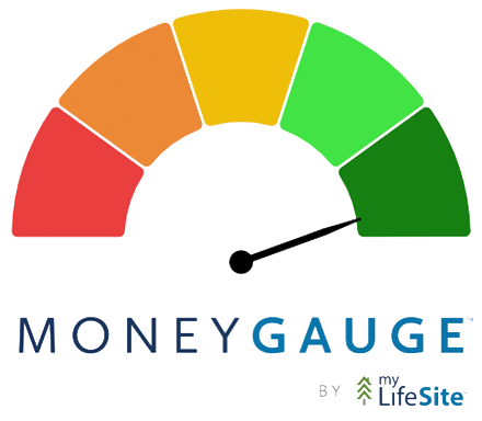 Money Gauge Logo